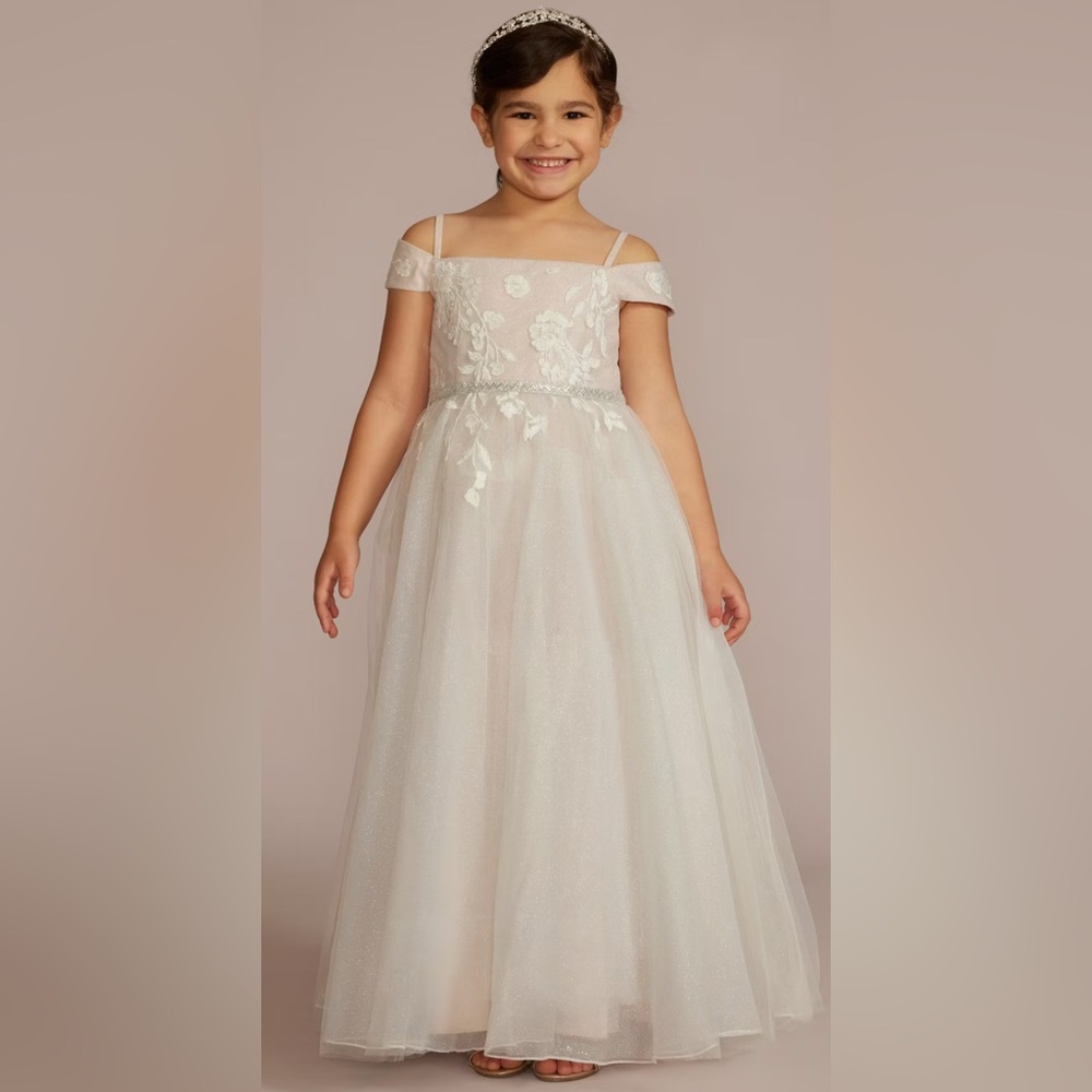 DB Studio Sparkle Organza Flower Girl Dress with Applique STYLE WG1421 Size 3
